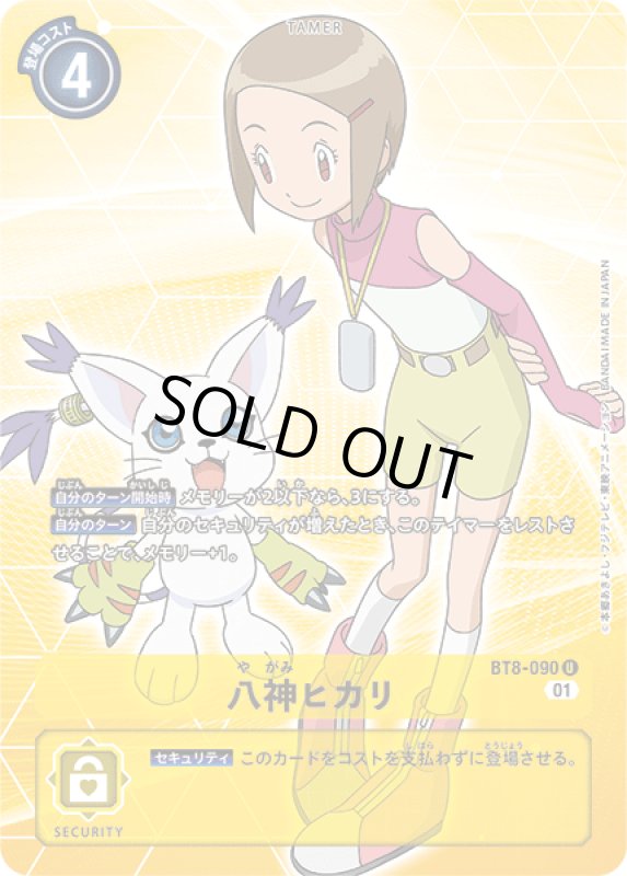 画像1: 八神ヒカリ (1)