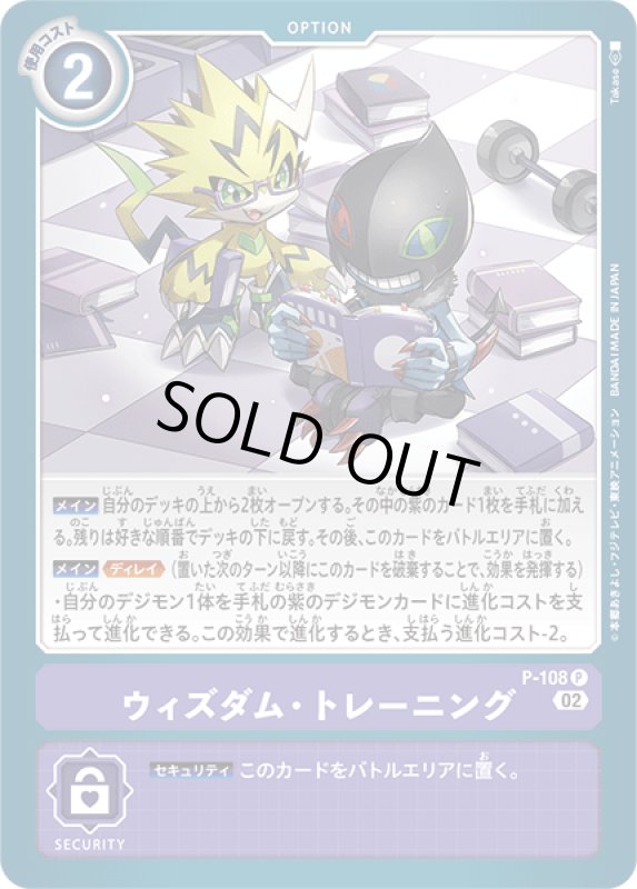 画像1: ウィズダム・トレーニング (1)