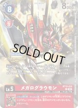 プロモーションカード(チャンピオンシップ) - カードランド秋葉原店