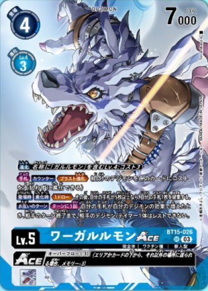 画像1: ワーガルルモンACE (1)