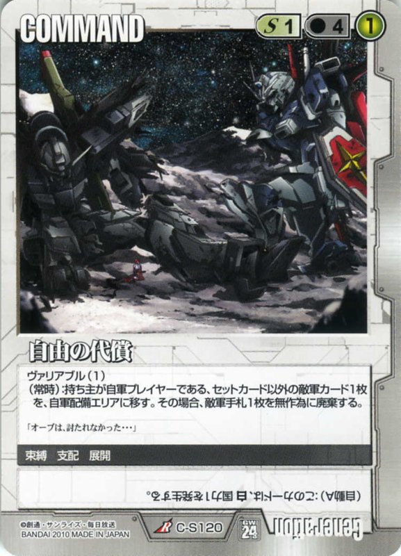 画像1: 自由の代償 (1)