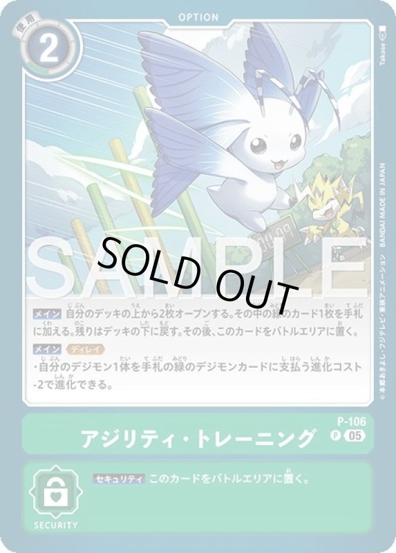 画像1: アジリティ・トレーニング (1)