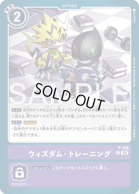 画像1: ウィズダム・トレーニング (1)