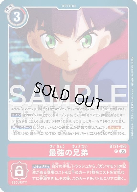 画像1: 最強の兄弟 (1)