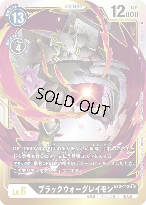 画像1: ブラックウォーグレイモン (1)