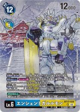 TAMER'S SELECTION BOX ver. CHAMPIONSHIP 2024 - カードランド TAMER'S SELECTION BOX ver. CHAMPIONSHIP 2024 - カードランド