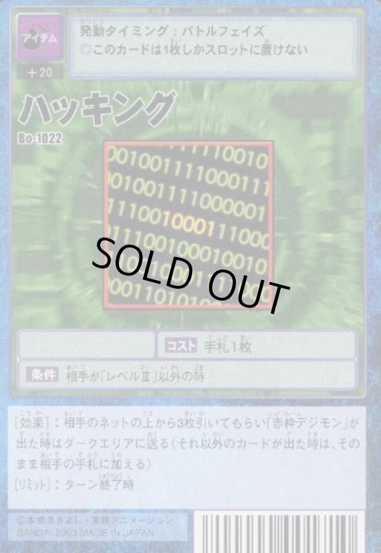 画像1: ハッキング (1)