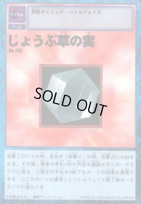 画像1: じょうぶ草の実 (1)