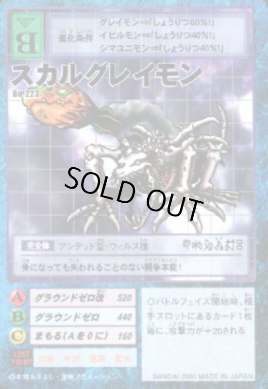 画像1: スカルグレイモン (1)