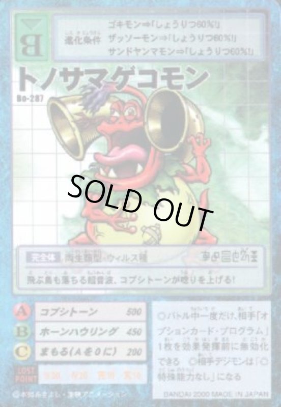 画像1: クアトルモン (1)