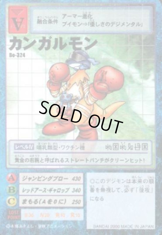 画像1: カンガルモン (1)