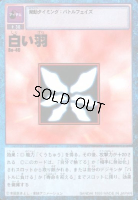 画像1: 白い羽 (1)