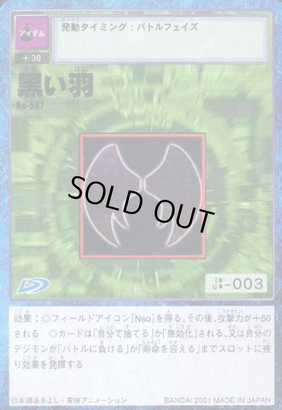 画像1: 黒い羽 (1)