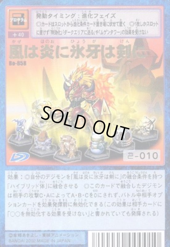 画像1: 風は炎に氷牙は剣に (1)