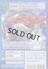 ブースター19 -黙示録の暗黒魔竜- - カードランド秋葉原店