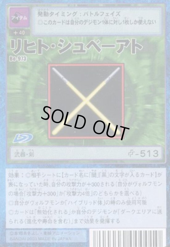 画像1: リヒト・シュベーアト (1)