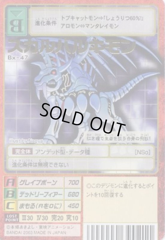 画像1: スカルバルキモン (1)