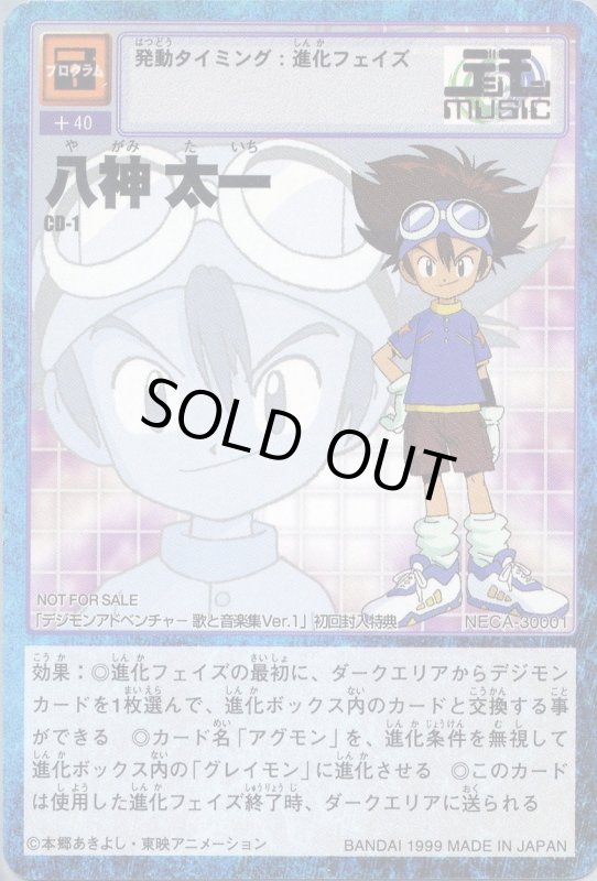 画像1: 八神 太一 (1)