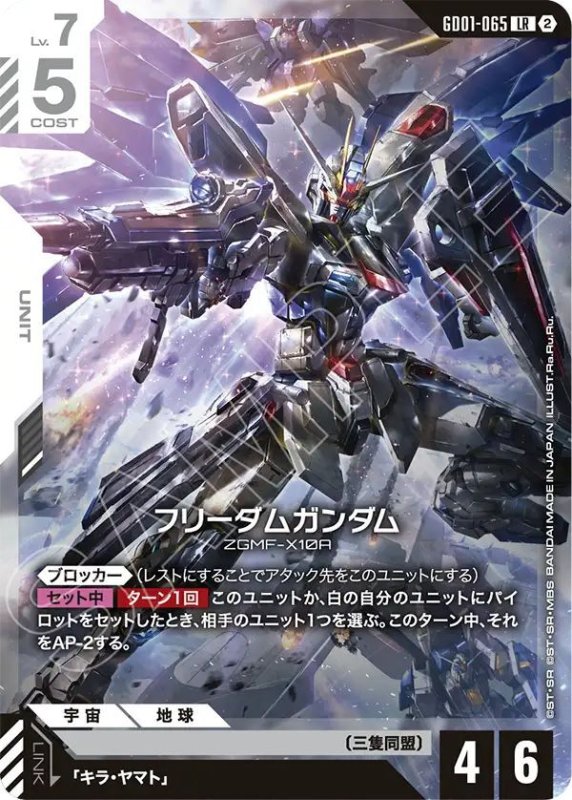 画像1: フリーダムガンダム (1)