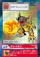 EX1弾 クラシックコレクション - カードランド 秘密の店
