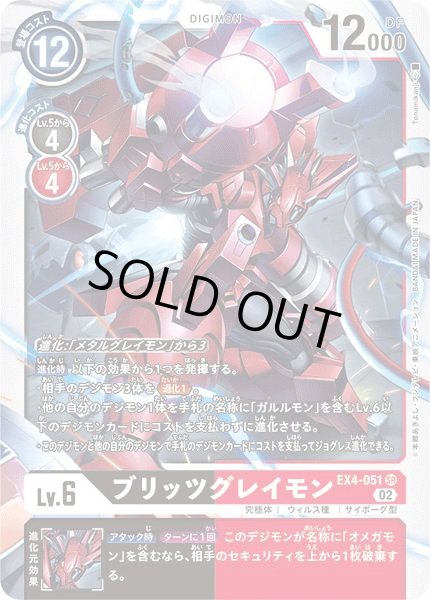画像1: ブリッツグレイモン (1)