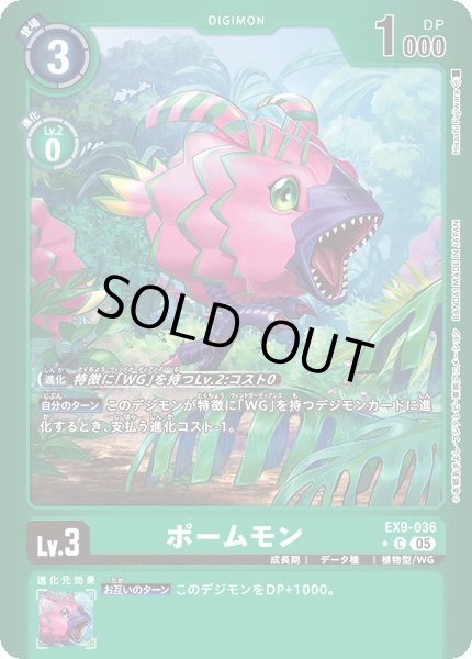 画像1: 【リミテッドC】ポームモン (1)