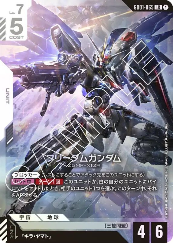 画像1: フリーダムガンダム (1)