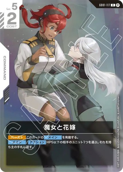 画像1: 魔女と花嫁 (1)
