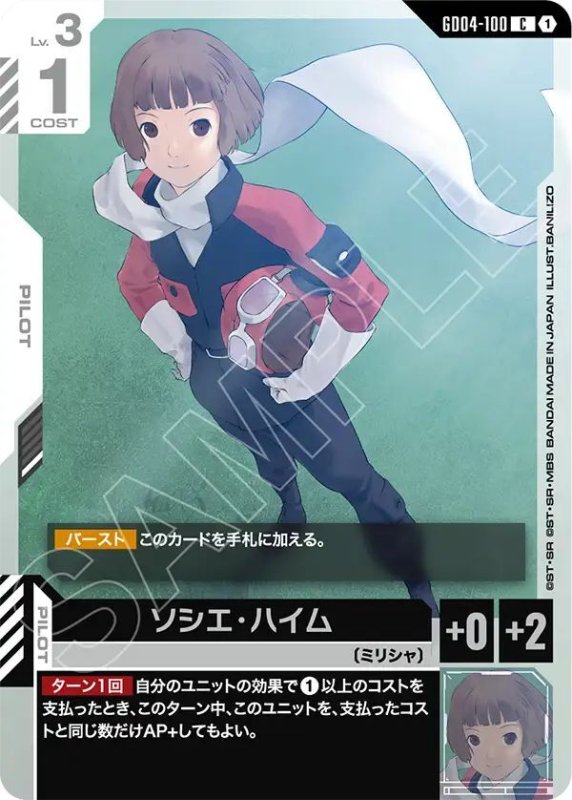 画像1: ソシエ・ハイム (1)