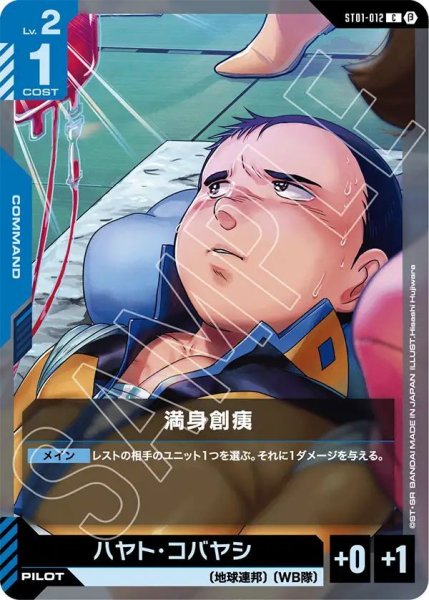 画像1: 満身創痍 (1)