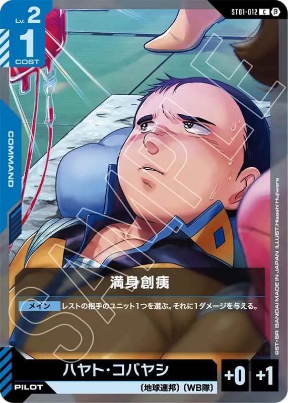 画像1: 満身創痍 (1)