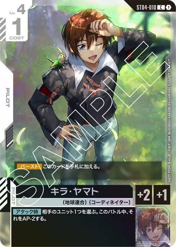 画像1: キラ・ヤマト (1)