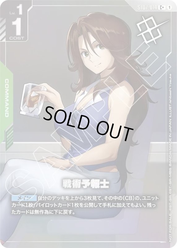 画像1: 戦術予報士 (1)