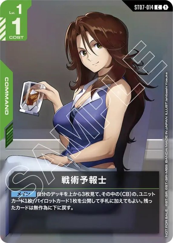 画像1: 戦術予報士 (1)