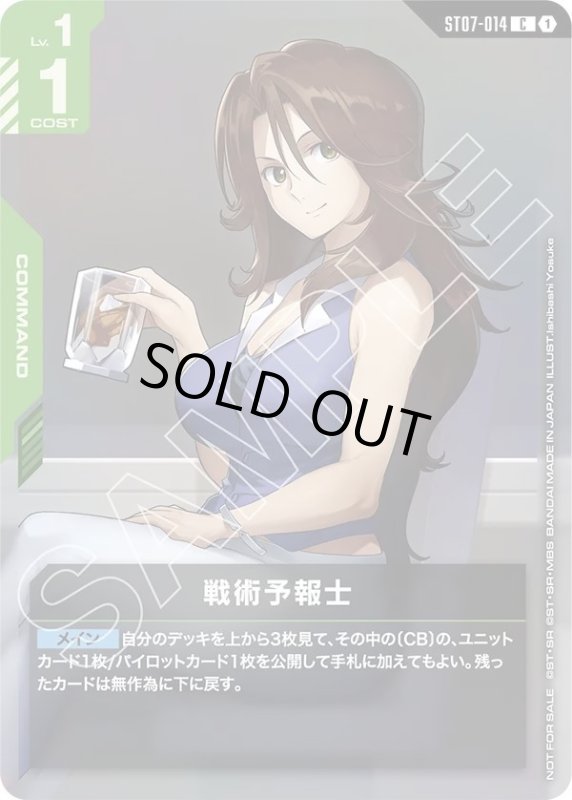 画像1: 戦術予報士 (1)