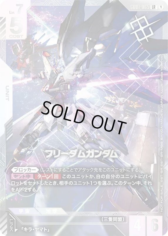 画像1: フリーダムガンダム (1)