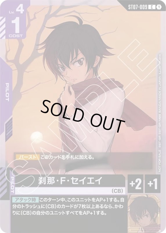 画像1: 刹那・F・セイエイ (1)