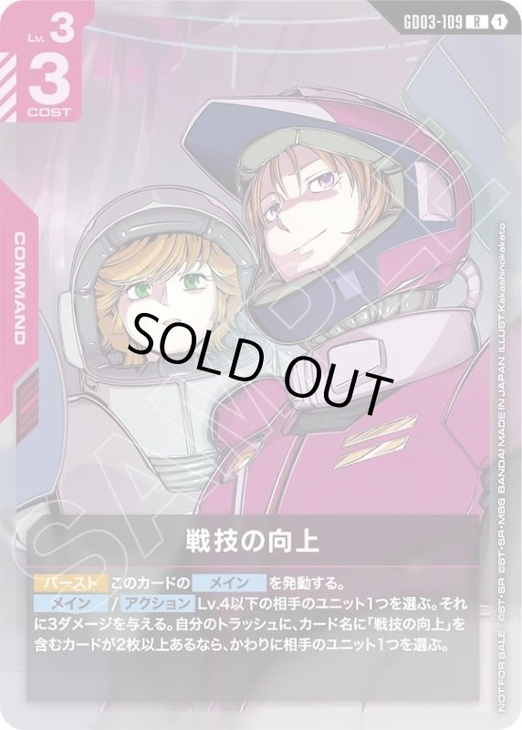 画像1: 戦技の向上 (1)