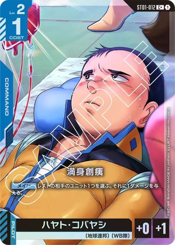 画像1: 満身創痍 (1)