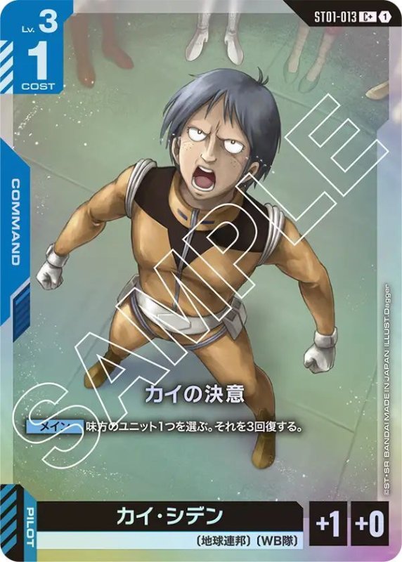 画像1: カイの決意 (1)