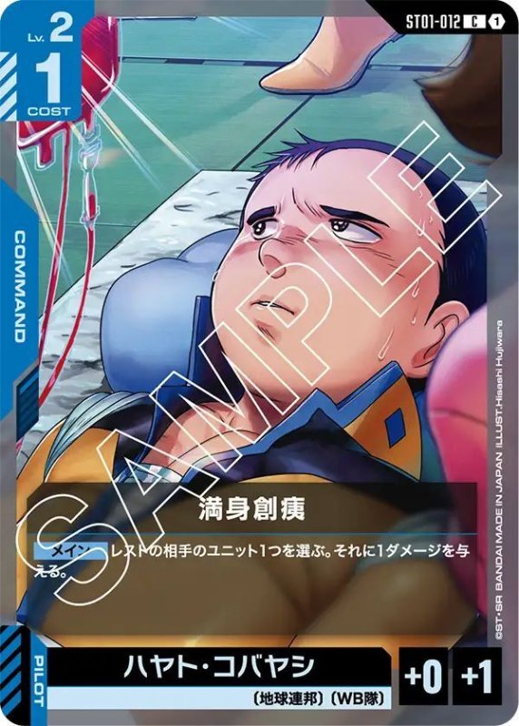 画像1: 満身創痍 (1)