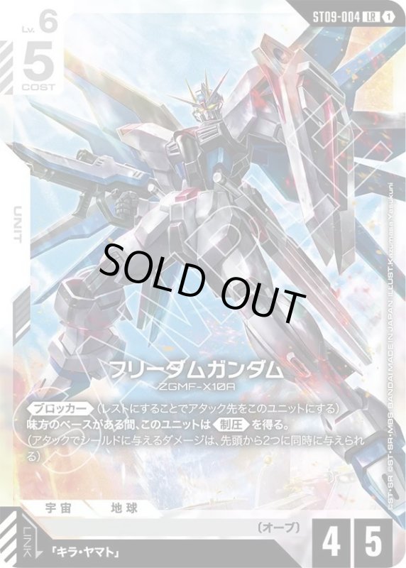 画像1: フリーダムガンダム (1)