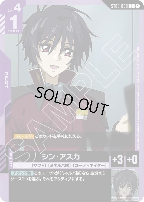 画像1: シン・アスカ (1)