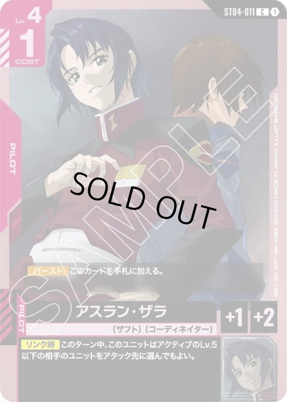 画像1: アスラン・ザラ (1)