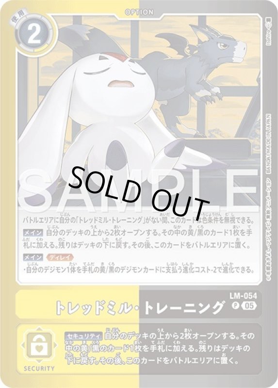 画像1: トレッドミル・トレーニング (1)