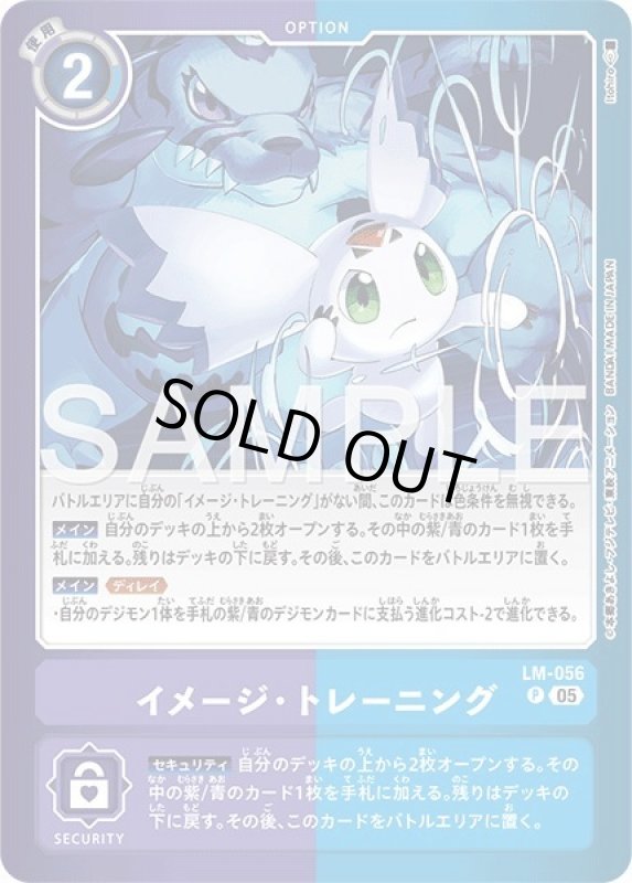 画像1: イメージ・トレーニング (1)