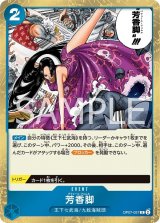 7弾 500年後の未来 - カードランド秋葉原店 7弾 500年後の未来 - カードランド秋葉原店