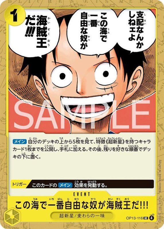 画像1: この海で一番自由な奴が海賊王だ!!! (1)