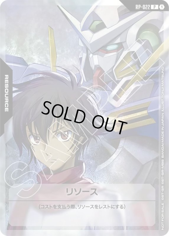 画像1: 刹那・F・セイエイ (1)