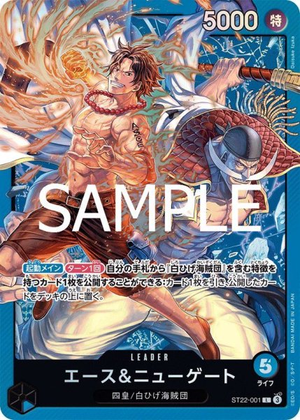 画像1: ニューゲート＆エース (1)